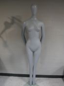 A shop mannequin on glass stand