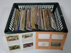 A crate containing a quantity of Brooke Bond picture tea cards and albums