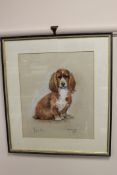 Marjorie Cox (1915-2003), 'Sugar', portrait of a King Charles Spaniel, pastel,