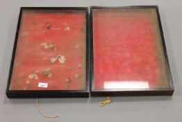 Two Victorian ebonised display cases.