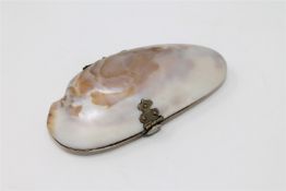 A Victorian oyster shell purse.