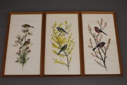 Paul Nicholas (British Contemporary), study of finches perched on a thistle, watercolour,