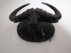 A Black Forest style carved buffalo head