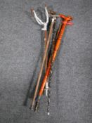 A shooting stick and four walking sticks, one with a horn handle.