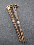 A group of Victorian and later walking sticks,