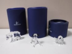 Three boxed Swarovski Crystal animals - bear,
