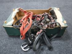 A box of horse tack