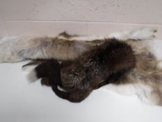 A fox fur together with a deer skin rug