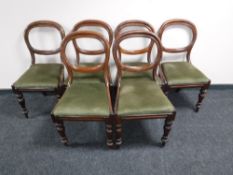 A set of six Victorian mahogany balloon back chairs