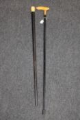 Two nineteenth century Gentleman's walking canes,