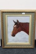 A gilt framed oil on canvas of a horse by Irene Hayes,