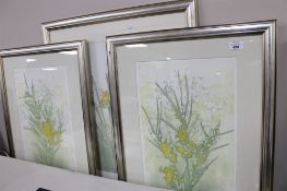 Three contemporary framed signed prints - Navcissus and Minosa.