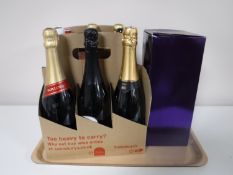 A tray of ten bottles of sparkling wines, champagnes, bottle of martini, Bristol cream,