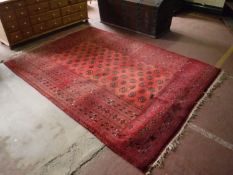 A fringed Persian Bokhara rug on red ground