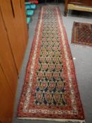 A multi-coloured eastern runner