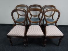 A set of six Victorian balloon back chairs