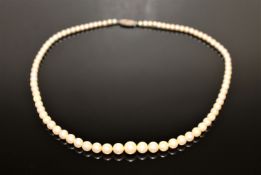 Fine quality strap of graduated pearls on a white gold diamond clasp