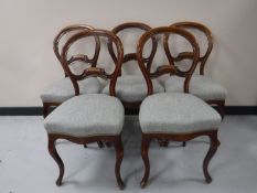 A set of five mahogany balloon back chairs