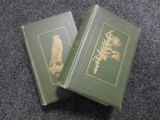 Two early 20th century Reverend C.A.