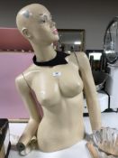 A mannequin torso
