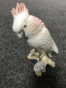 A Royal Dux parakeet