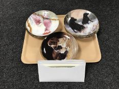 A tray of Royal Doulton collector's plates and others