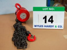 A HILKA 1-Ton Chain Block and Tackle with 3M Lift