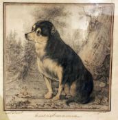 Cosnard. Porträt eines Hundes. Portrait of a dog. 