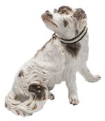 A Continental figure of a Bolognese dog: in the Meissen manner,