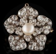 A 19th century diamond and button pearl cluster brooch: of pentagonal form,