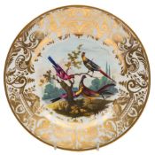 A Derby ornithological plate: the central reserve attributed to Richard Dodson and painted with