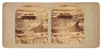 Crystal Place at Sydenham , a stereoscopic photograph by T R Williams,