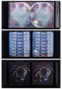 A group of three autochrome stereoscope microscope photograph specimens:,