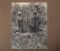 BRITISH GUIANA & THE WEST INDIES : Photograph Album - inc.