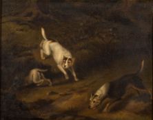 Samuel Raven [1775-1847]- Three dogs ratting on a sandy bank,:- oil on panel 16 x 20.5cm.