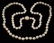 A graduated cultured pearl single-string necklace: with individually knotted,
