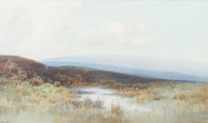 Frederick John Widgery [1861-1942]- Purbeck Moors near Studland,