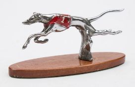 A chrome plated racing greyhound car mascot:, in red and white vest, mounted on later wooden base,