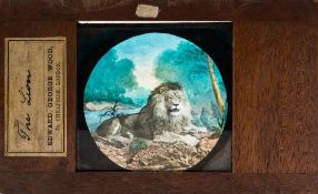 Edward George Wood, London, two hand painted magic lantern slides,