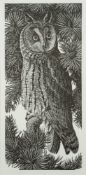 After Charles Turnicliffe - Long-Eared Owl,