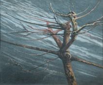 * Arthur Homeshaw [1933-2011]- Winter Branches,:- signed bottom left pastel drawing, 35 x 43cm.