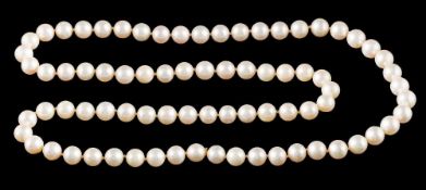 A cultured pearl single rope necklace: composed of seventy-eight cultured pearls,