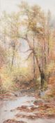 William Widgery [1822-1893]- Stream through a wood,:- signed, watercolour, 66 x 29.5cm.