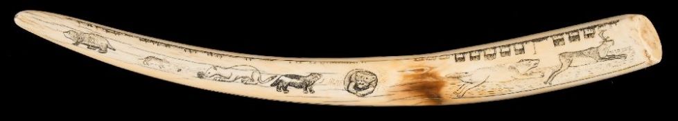 Joe Austin Kakarook (XIX-XX) A late 19th/early 20th century Inuit carved walrus tusk:,