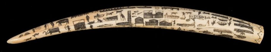 A late 19th/early 20th century Inuit carved walrus tusk:, unsigned,
