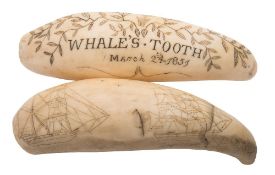 Two 19th century scrimshaw teeth:, one incised with a floral garland and inscribed 'Whale's Tooth,