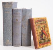WARNE'S National Nursery Library : etc, colour plates, org. pictorial boards, 8vo, Warne, c1870s.