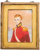 English School 19th Century- A miniature portrait of a young subaltern,:- half-length,
