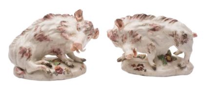 A pair of Torquay porcelain models of Florentine Boars in mid 18th century Derby style: one in