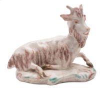 A Torquay porcelain model of a recumbent goat in 18th century Derby style: on scrollwork mound base,